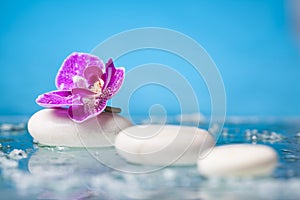 Spa still life with pink orchid and white zen stone