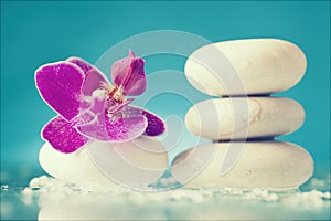 Spa still life with pink orchid and white zen stone