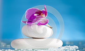 Spa still life with pink orchid and white zen stone in a serenity pool