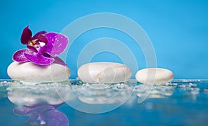 Spa still life with pink orchid and white zen stone in a serenity pool