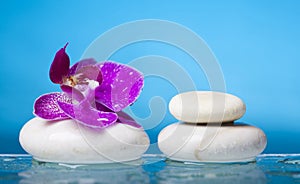 Spa still life with pink orchid and white zen stone in a serenity pool