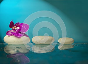 Spa still life with pink orchid and white zen stone in a serenity pool