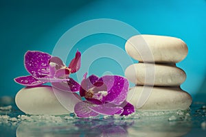 Spa still life with pink orchid and white zen stone in a serenity pool