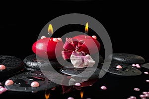 Spa still life of red candles, zen stones with drops, orchid cam