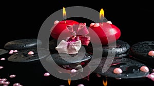 Spa still life of red candles, zen stones with drops, orchid