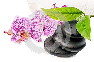 Spa still life with stripped orchid, black stones