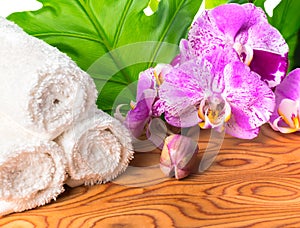 Spa still life with unusual lilac orchid flowers, phalaenopsis