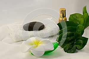 Spa still life on white background, relaxation and spa concept. Green leaves and black wet stones.