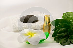 Spa still life on white background, relaxation and spa concept. Green leaves and black wet stones.