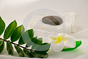 Spa still life on white background, relaxation and spa concept. Green leaves and black wet stones.