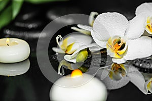 spa still life of white orchid , candles and black zen stones with drops on water with reflection