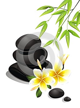 Spa still life with zen stone,plumeria and bamboo