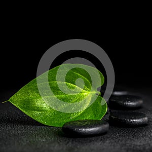 Spa still life of zen stones and green leaf on black background