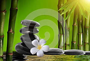 Spa stones,bamboo with frangipani