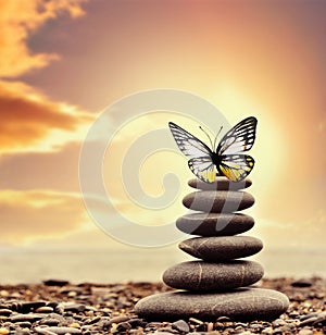 Spa stones on the beach and butterfly on sky background.
