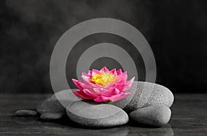 Spa stones with beautiful flower