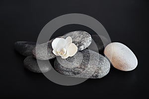 Spa stones and beautiful orchid flower on black background