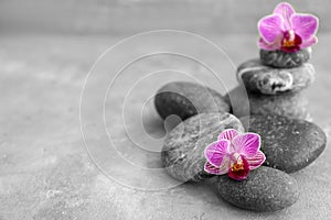 Spa stones and beautiful orchid flowers on grey table