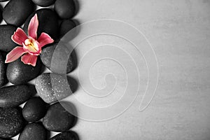 Spa stones with flower on color background. Space for text