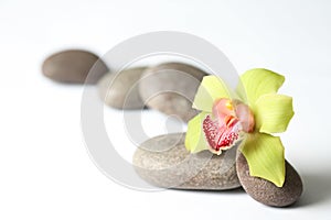 Spa stones and flower on white background