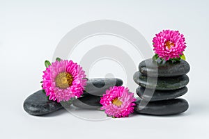 Spa stones and flowers on the white background close up