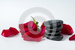 Spa stones and flowers on the white background close up