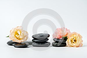 Spa stones and flowers on the white background close up