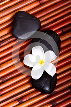 Spa stones and frangipani flower on bamboo