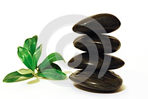 Spa stones with green leaf