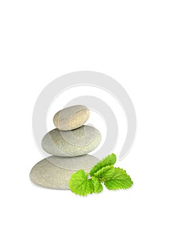 Spa Stones and Lemon Balm Herb