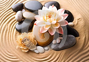 Spa stones and lotus flower on zen stones background