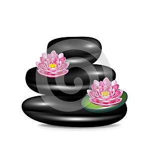 Spa stones and lotus flowers isolated