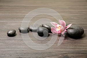 Spa stones with orchid flower