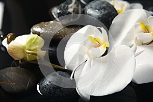 Spa stones and orchid flowers in water on background, closeup. Zen lifestyle