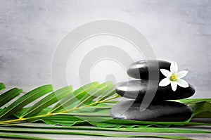 Spa stones with palm branch and white flower on light background