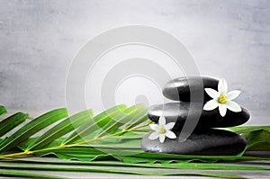 Spa stones with palm branch and white flower on light background