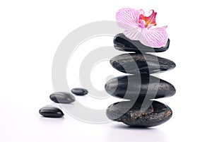 Spa stones with pink flower