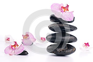 Spa stones with pink flower