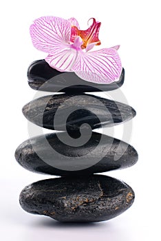 Spa stones with pink flower