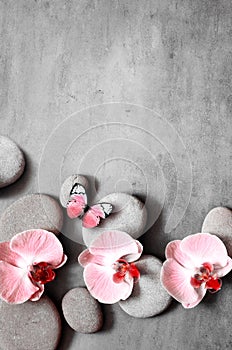 Spa stones and pink orchid on grey background and butterfly.