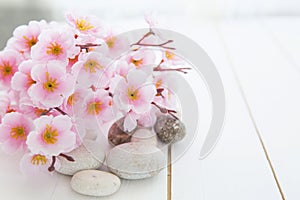 Spa stones with pink sakura flowers