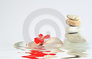 spa stones with red flower on white background, meditation,harmony,yoga wellness concept,free copy space