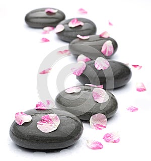 Spa stones with rose petals on white.