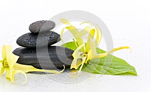 Spa stones and Ylang-Ylang flower