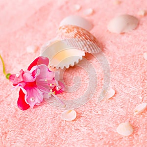 spa tender concept with pink flower fuchsia, seashells on delicate terry texture, closeup