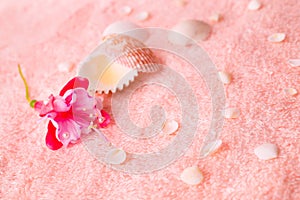 spa tender concept with pink flower fuchsia, seashells on delicate terry texture, closeup