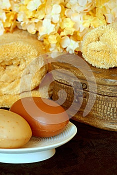 Spa Therapy Indulgences