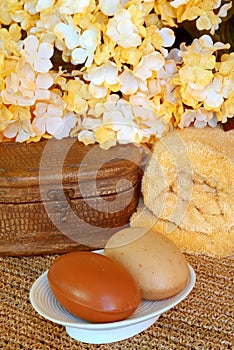 Spa Therapy Indulgences