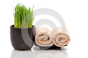 Spa towels and wheatgrass