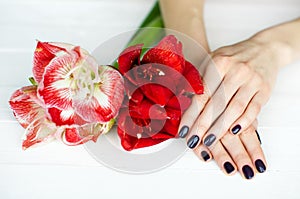 Spa treatment for woman hands